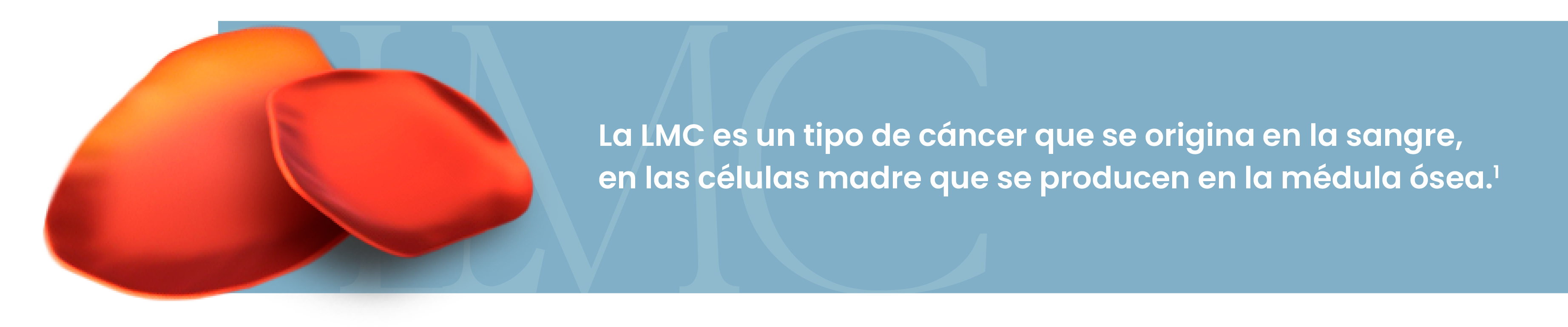 LMC